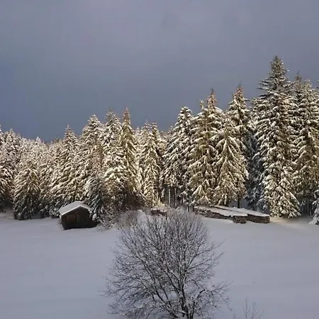 Haus Anna Koenigsdorfer Neureichenau