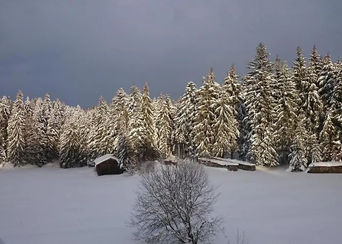 Haus Anna Koenigsdorfer Neureichenau